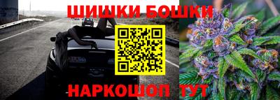 гидропоника Будённовск