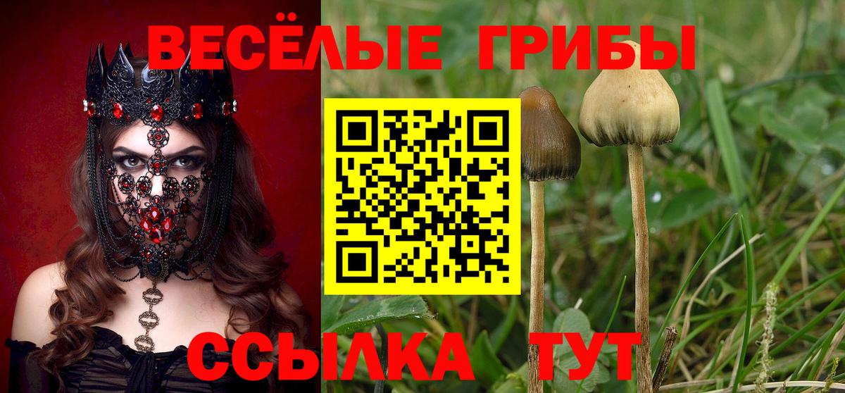 Псилоцибиновые грибы мухоморы  даркнет сайт  Галлюциногенные грибы мухоморы  Чебаркуль  Вход с VPN 